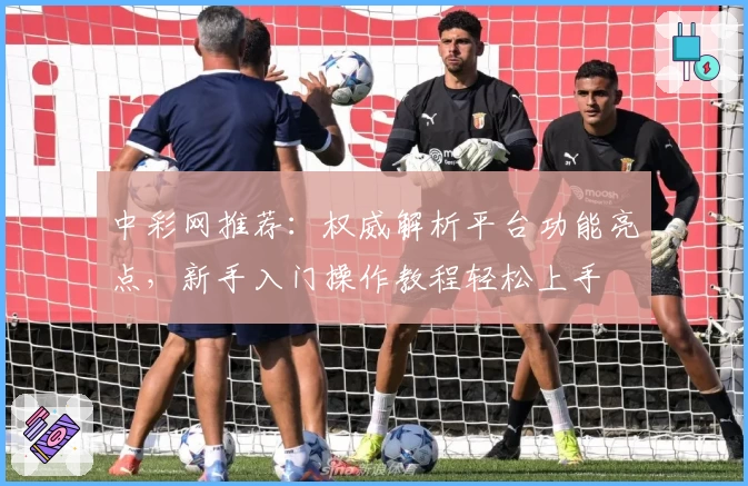 中彩网推荐:权威解析平台功能亮点,新手入门操作教程轻松上手