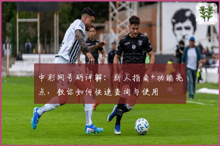 中彩网号码详解：新人指南+功能亮点，教你如何快速查询与使用