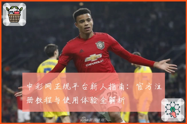 中彩网正规平台新人指南：官方注册教程与使用体验全解析