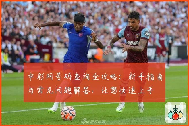 中彩网号码查询全攻略：新手指南与常见问题解答，让您快速上手