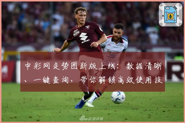 中彩网走势图新版上线：数据清晰、一键查询，带你解锁高效使用技巧