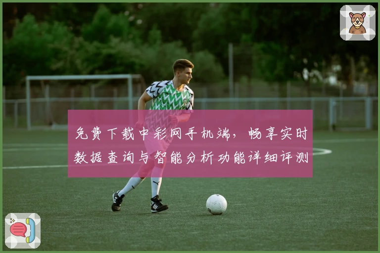 免费下载中彩网手机端，畅享实时数据查询与智能分析功能详细评测