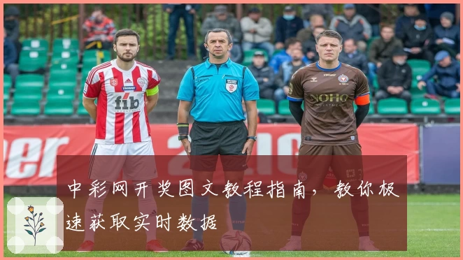 中彩网开奖图文教程指南，教你极速获取实时数据