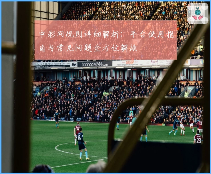 中彩网规则详细解析：平台使用指南与常见问题全方位解读