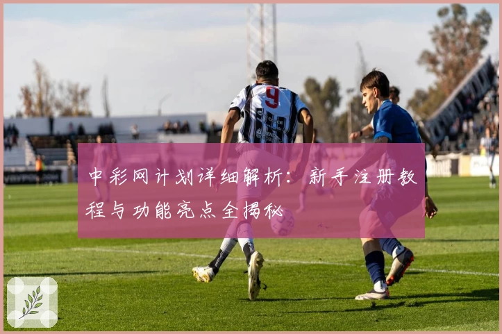 中彩网计划详细解析：新手注册教程与功能亮点全揭秘