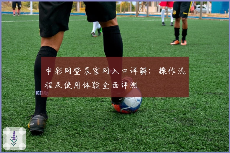中彩网登录官网入口详解：操作流程及使用体验全面评测